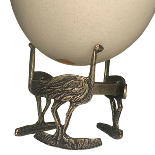 Ostrich Body Ostrich Egg Stand